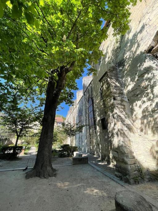 Charmant Studio, Centre Historique, Carmes Avignon Exterior foto